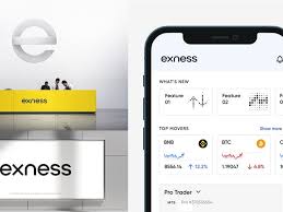Halal Forex Account On Exness Halal Forex Account On Exness