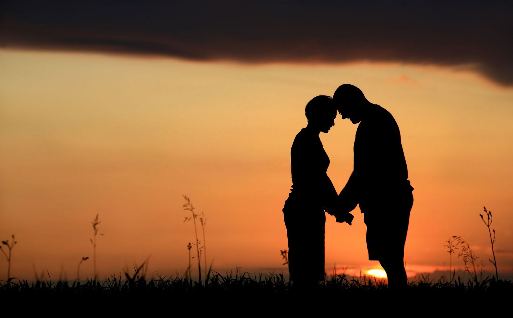NikaDate Assessment: A Thorough Introduction to Online Internet Dating