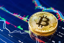 The Future of Trading Exploring the Crypto Trading Bot Platform The Future of Trading Exploring the Crypto Trading Bot Platform