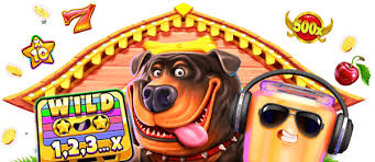Discover the Excitement of RoyalReels8 Your Premier Online Casino Destination Discover the Excitement of RoyalReels8 Your Premier Online Casino Destination