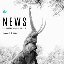 The Power of B2B Partnerships Unlocking Growth and Innovation -956116202